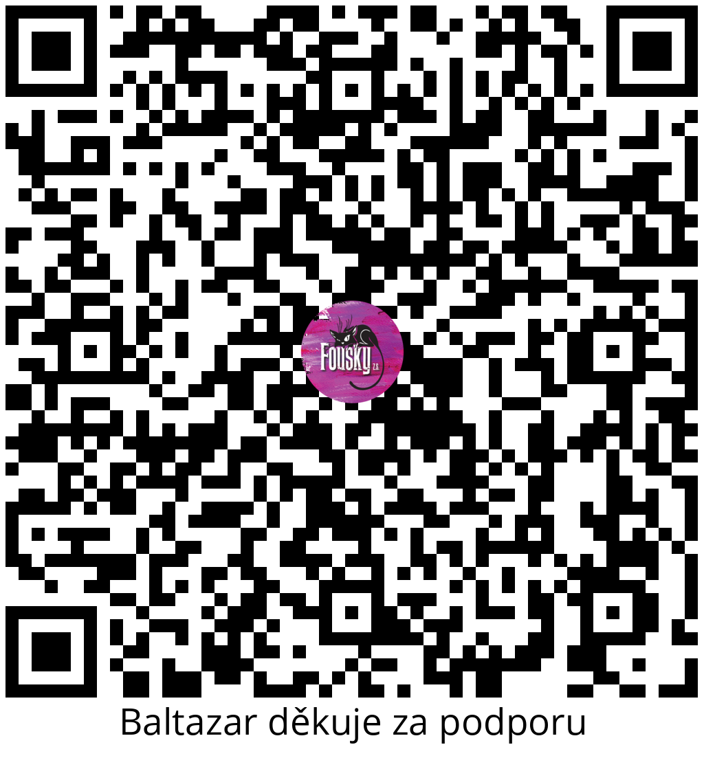 Platební QR kód