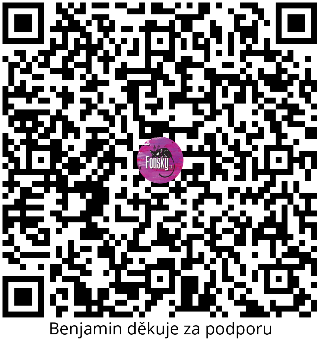 Platební QR kód