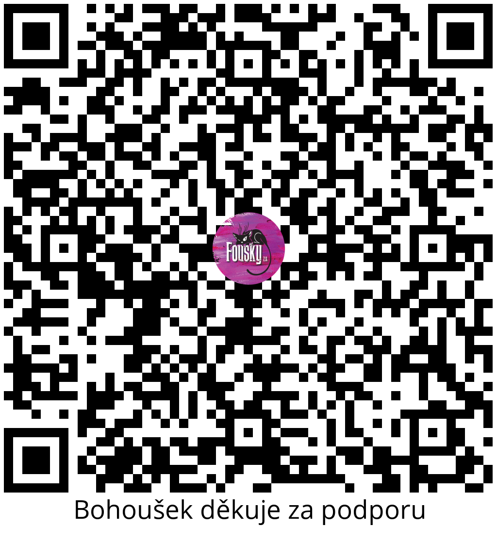 Platební QR kód