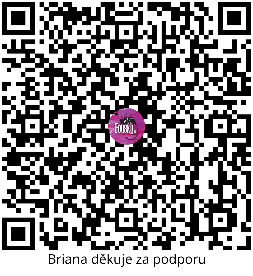 Platební QR kód