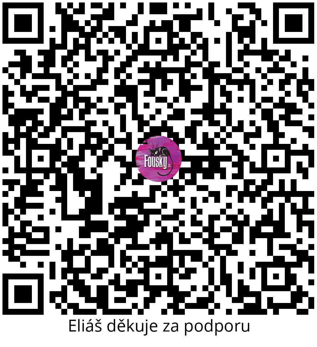 Platební QR kód