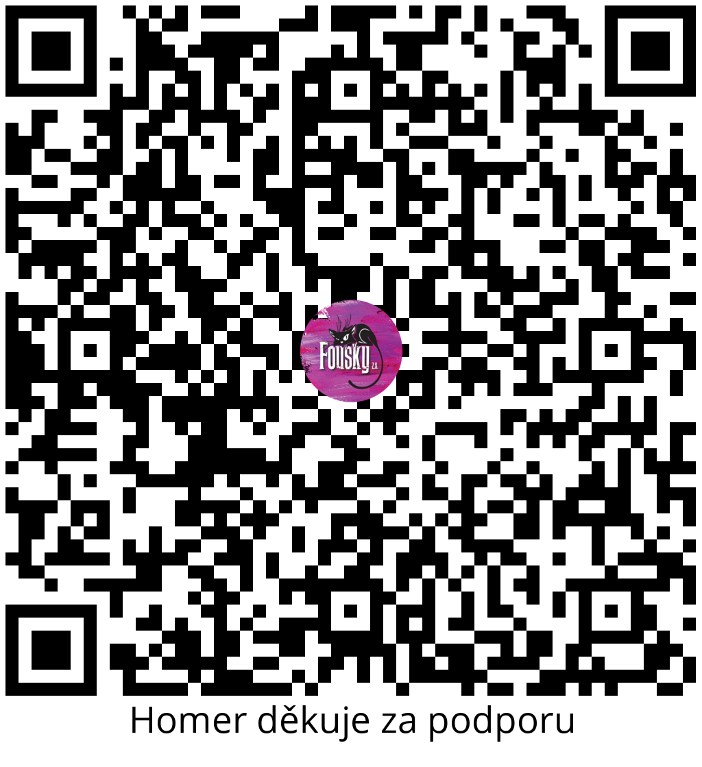 Platební QR kód