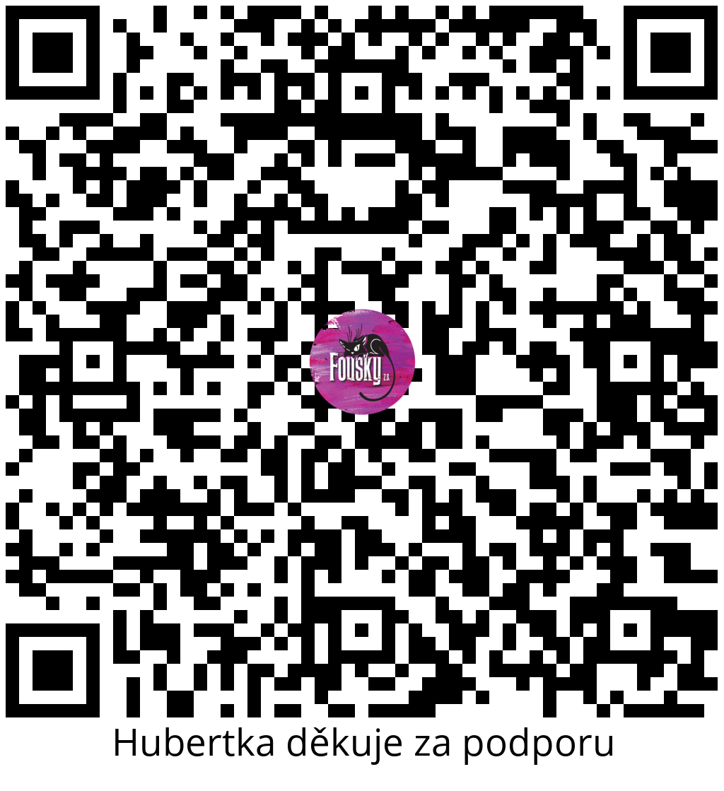 Platební QR kód