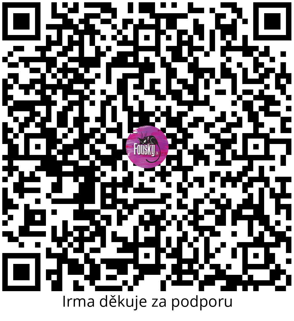 Platební QR kód