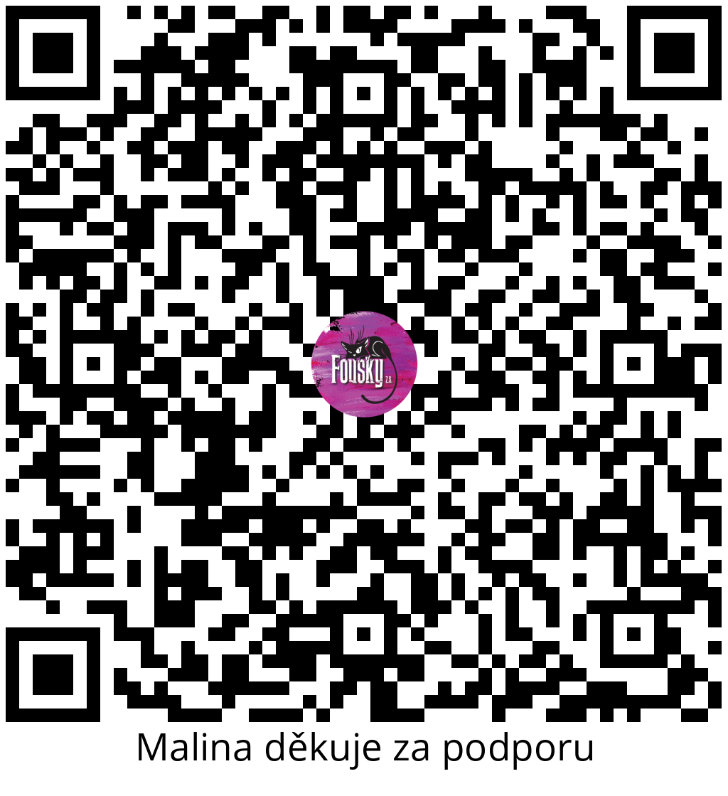 Platební QR kód