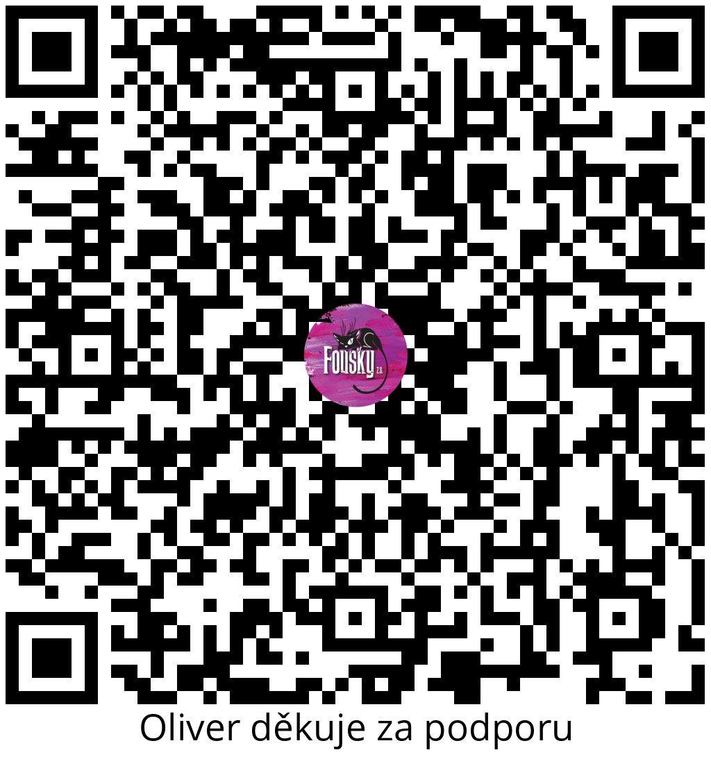 Platební QR kód